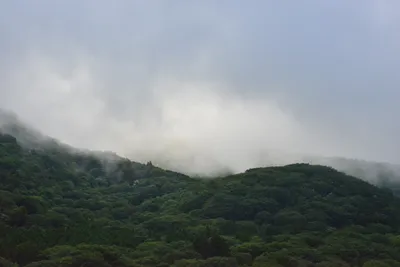 DSC_3735 (Large).JPG